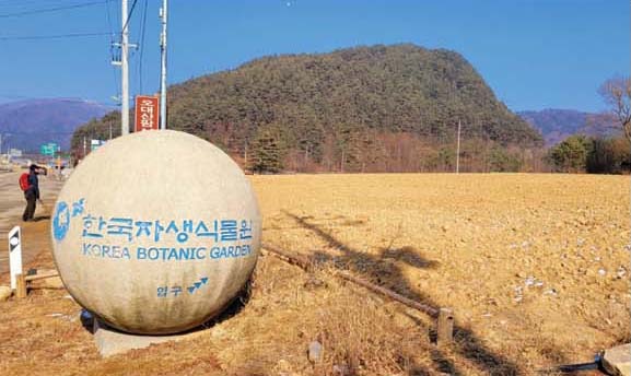 화보239-2.jpg