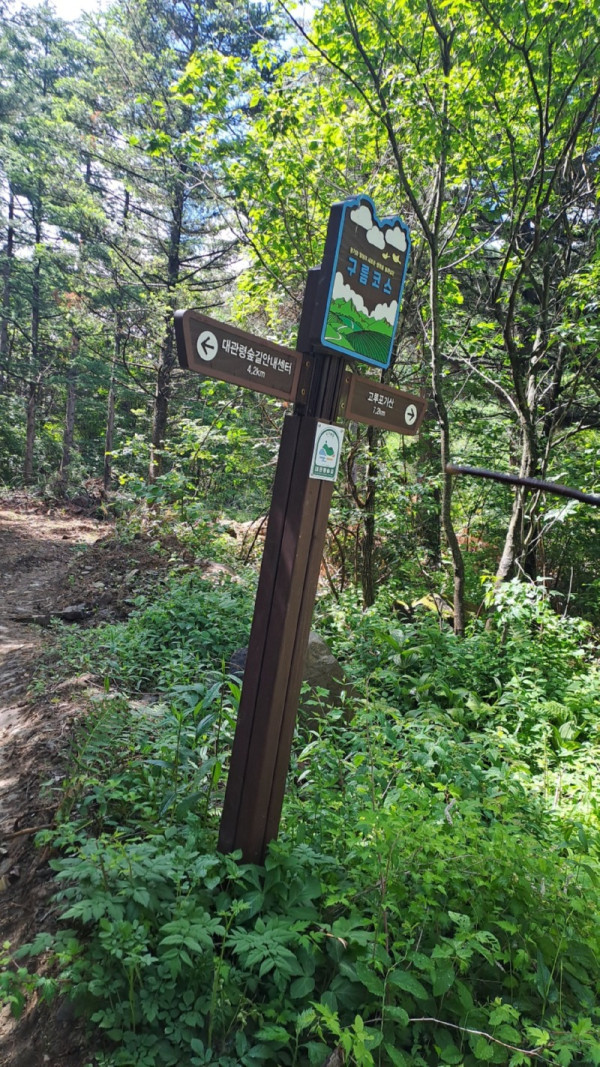 KakaoTalk_20250614_172849670_14.jpg