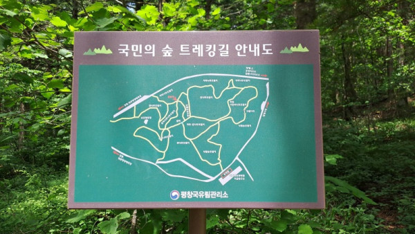 KakaoTalk_20250614_172849670.jpg